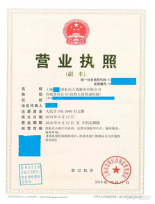 上海注冊非中介留學服務公司 類別、經營范圍與票務代理指南